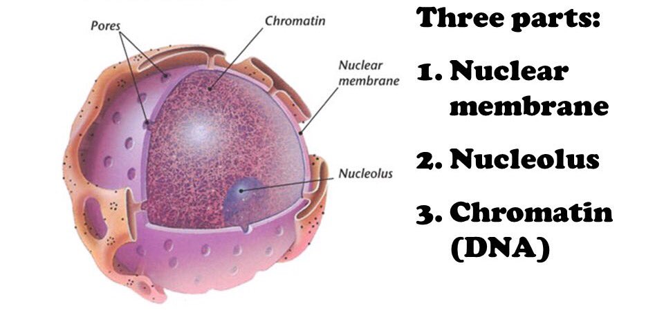 NuciMinajj's tweet photo. Name a more iconic trio...I'll wait https://t.co/8C3rVrIwD6