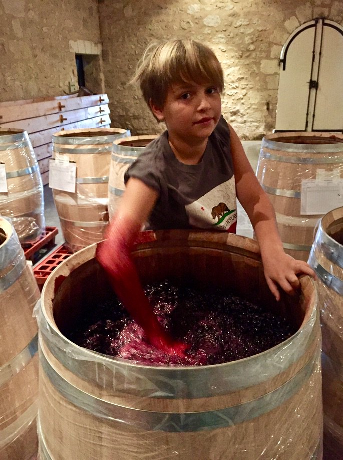 Pigeage de nos vinifications intégrales en famille!!
Family pipeage for our vinifications intégrales!!
#ClosdesJacobins #pigeages #famille