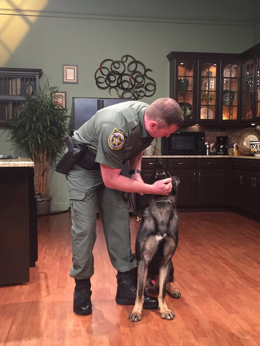 COMING UP: 6:30am on <a href="/FOX13News/">FOX 13 Tampa Bay</a> ~ The newest member of our team, K-9 Specter.