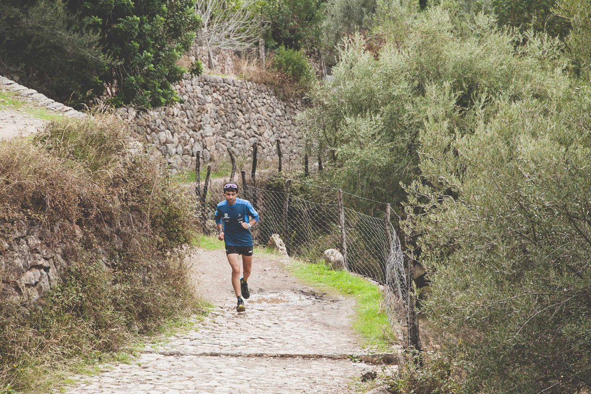 Serra de Tramuntana | Mallorca tweet media