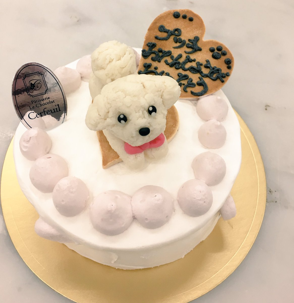 Yumiko Pa Twitter 昨日注文ではいった 犬用ケーキ N トイプードルをマジパンでとのことでしたので急遽作ってみました N デコレーションケーキ 犬用ケーキ