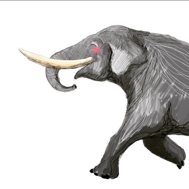 esthersepers's tweet photo. Vandaag tekenen #olifant #freelance #art #illustratie #esthersepers #elephant #illustration #indemaak https://t.co/JL0kxWMhCZ