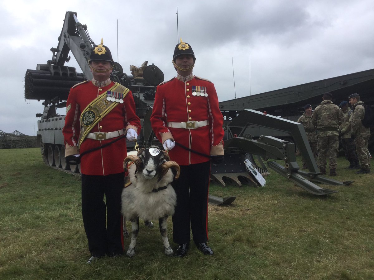 AlastairBruce_'s tweet photo. 'Private Derby the 31st' of @MercianRegiment at #FirepowerDemonstration Larkhill 2day with Indian Mutiny medal!! @BritishArmy @3rdUKDivision https://t.co/mGEf4qkGYG