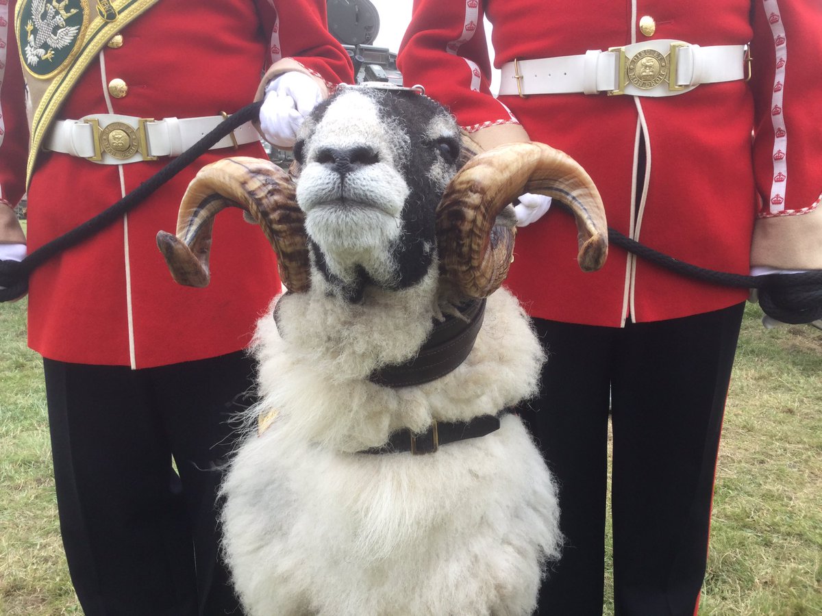 AlastairBruce_'s tweet photo. 'Private Derby the 31st' of @MercianRegiment at #FirepowerDemonstration Larkhill 2day with Indian Mutiny medal!! @BritishArmy @3rdUKDivision https://t.co/mGEf4qkGYG