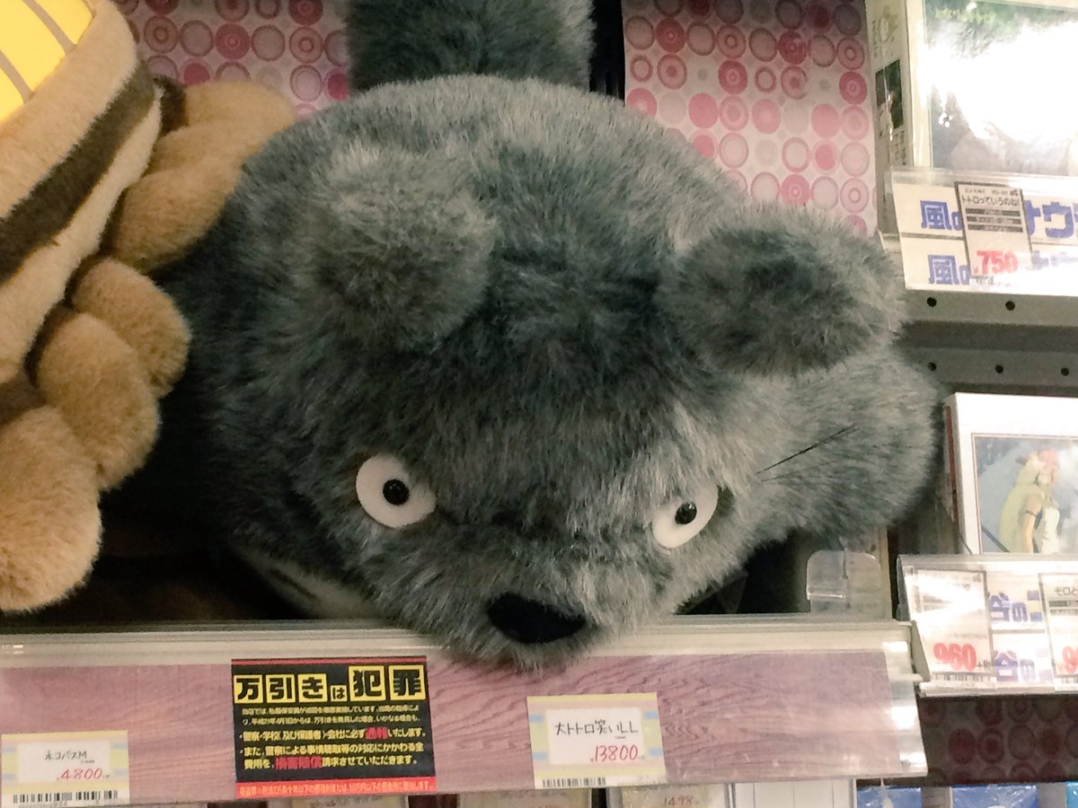 コウ コウ企画 On Twitter ドンキのトトロがガン飛ばしすぎてる トトロの下にある万引きは犯罪って言葉に重みを感じさせる作戦なのか