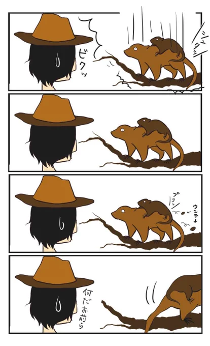 森で遭遇したポッサム。#4コマ漫画 #描いてみた 
