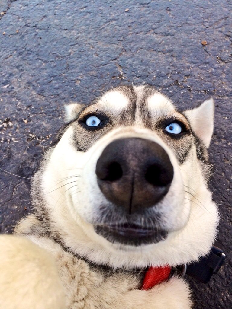 Lanea Stagg tweet media