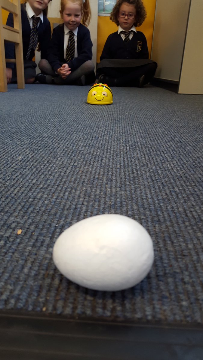 StAndrewsCoE's tweet image. Year 1 Code Club this lunchtime #codeweek2016 @codeweekUK