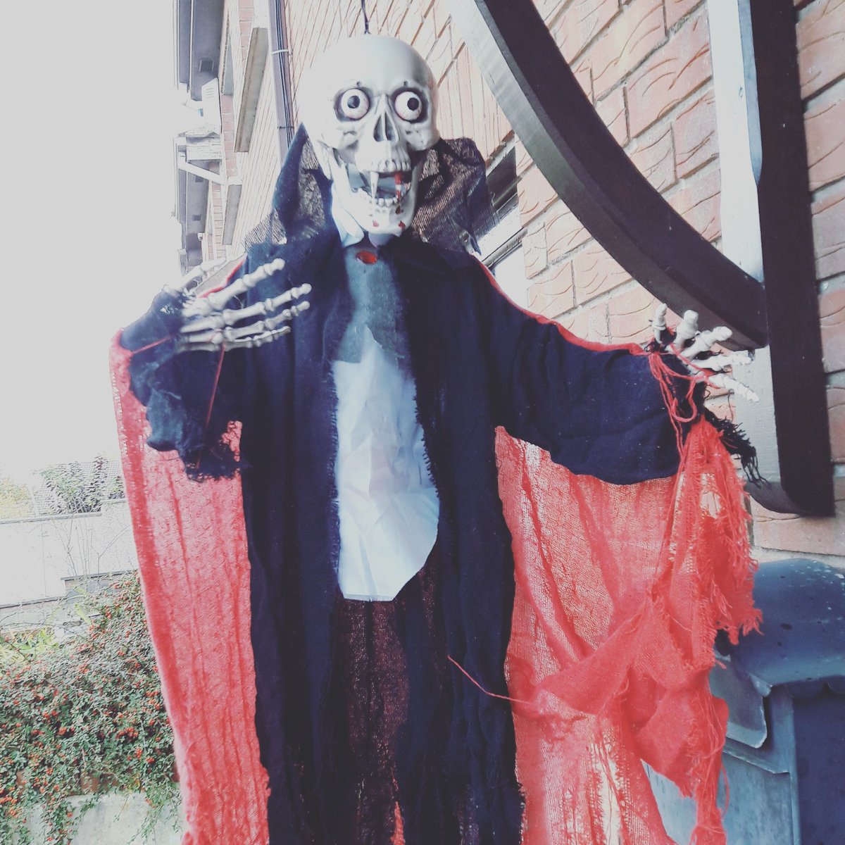 RepofWindows's tweet image. This customer was shocked how good our prices were 😂😂😂