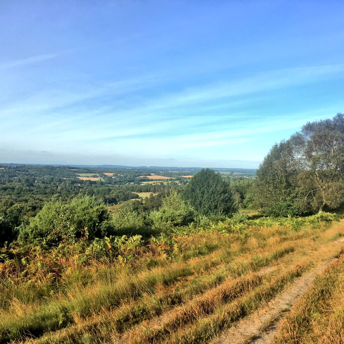 AdventureAdrift's tweet photo. A recent clear and sunny day in Sussex https://t.co/wdhhetJY49