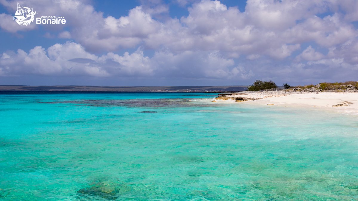 wesharebonaire's tweet photo. Come and join us at the most amazing island of the world
#wesharebonaire #bonaire #wsb #dutchcaribbean #amazingisland #joinusinparadise https://t.co/J6RCBuWgk4