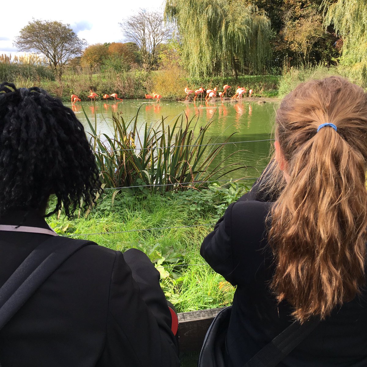 GreyCourtMaths's tweet photo. Oh the fun we had today at the zoo! #gcscience https://t.co/r8DIv5t8u2