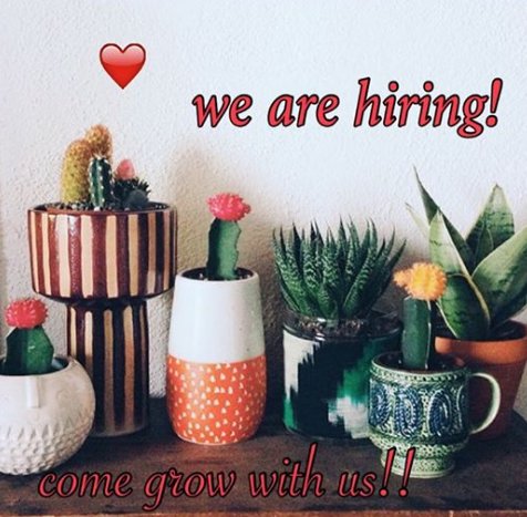 creaturesatx's tweet photo. WE ARE HIRING !  email your resume &amp; tell us little about yourself : creaturesboutique@gmail.com https://t.co/6DuyOHpdPZ