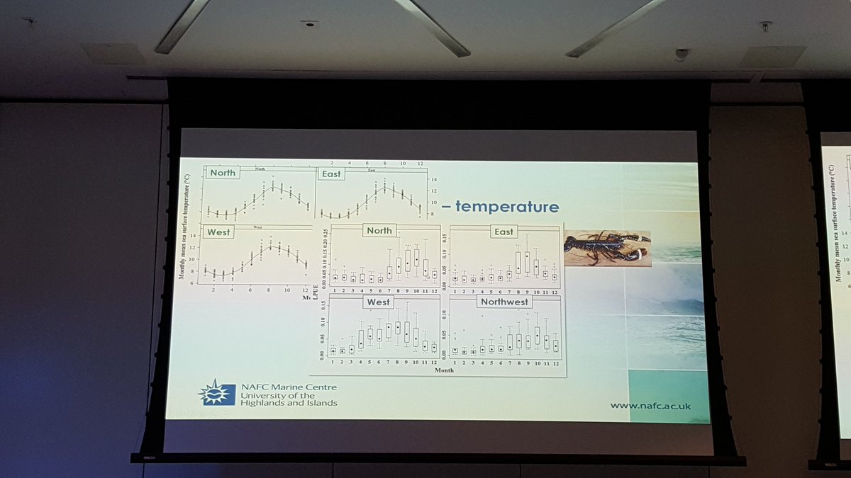 BD_Stew's tweet photo. Temperature the major driver of seasonal, but not annual, variation in #lobster catch rates. Mark Hamilton @mastscot #MASTS16 https://t.co/DV6zsfGUFd
