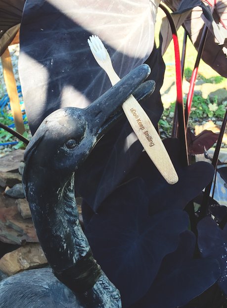 UDOBRUSH's tweet photo. Even the birds realize the significance of oral hygiene. #uDo https://t.co/8sccXeli7q