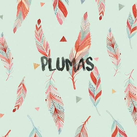 PepitaFrita's tweet photo. Ya están aquí! Plumas aqua de Studio E....ideal!#pepitafrita #pepitashop #telaschulas #algodon #patchwork #telaspormetros #molacoser #plumas https://t.co/ukRZcLktMa