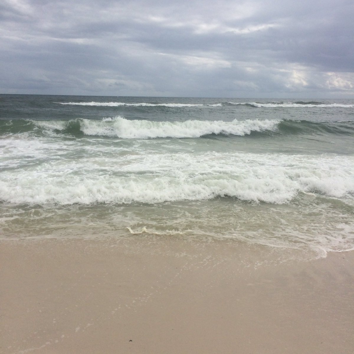 smalone_SCED's tweet image. Why do waves look white as they come crashing to the shore? #scilit2016