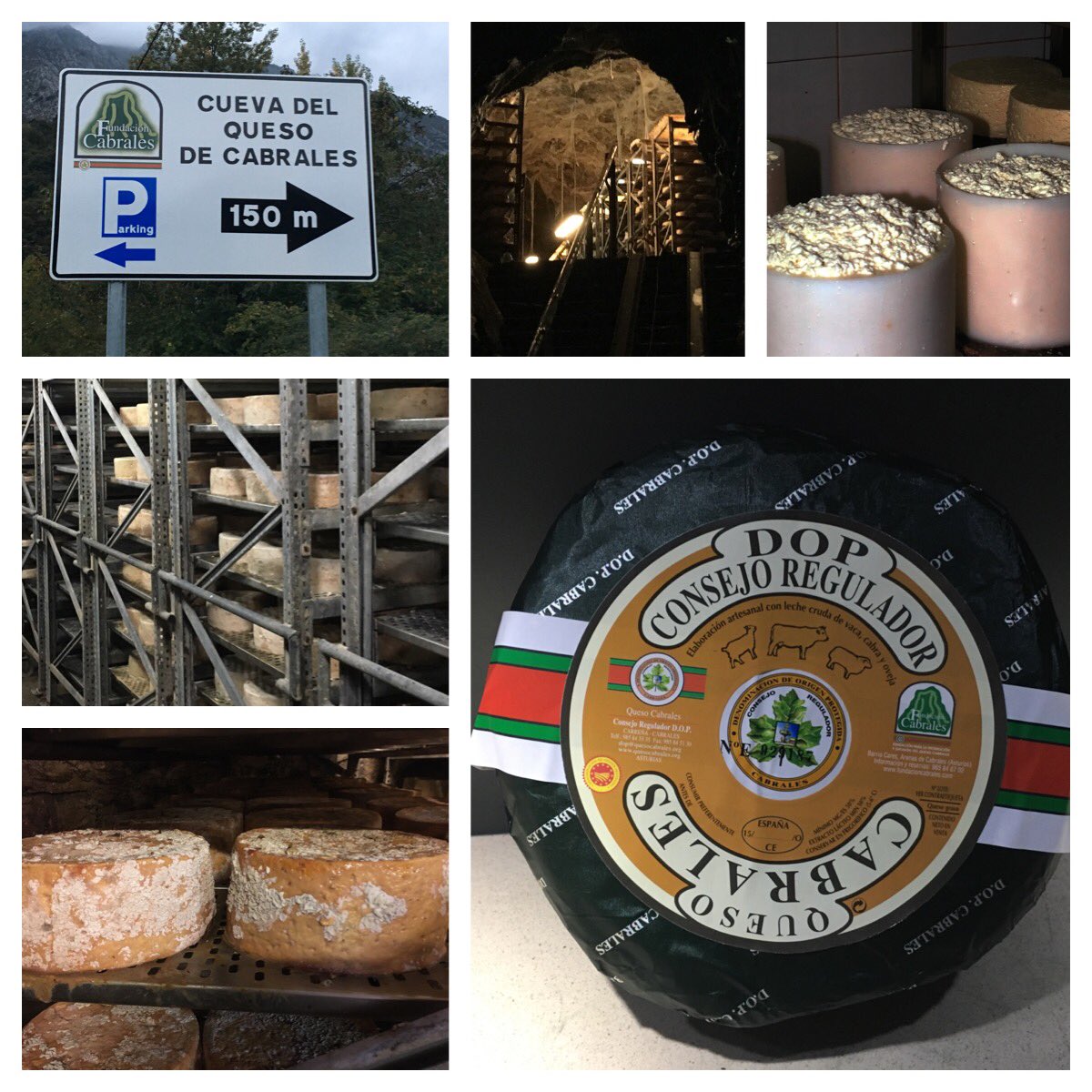 Que interesante visita a la Cueva del queso de Cabrales <a href="/TurismoAsturias/">TurismoAsturias</a> #alimentosdelparaiso #AsturiasParaisoNatural