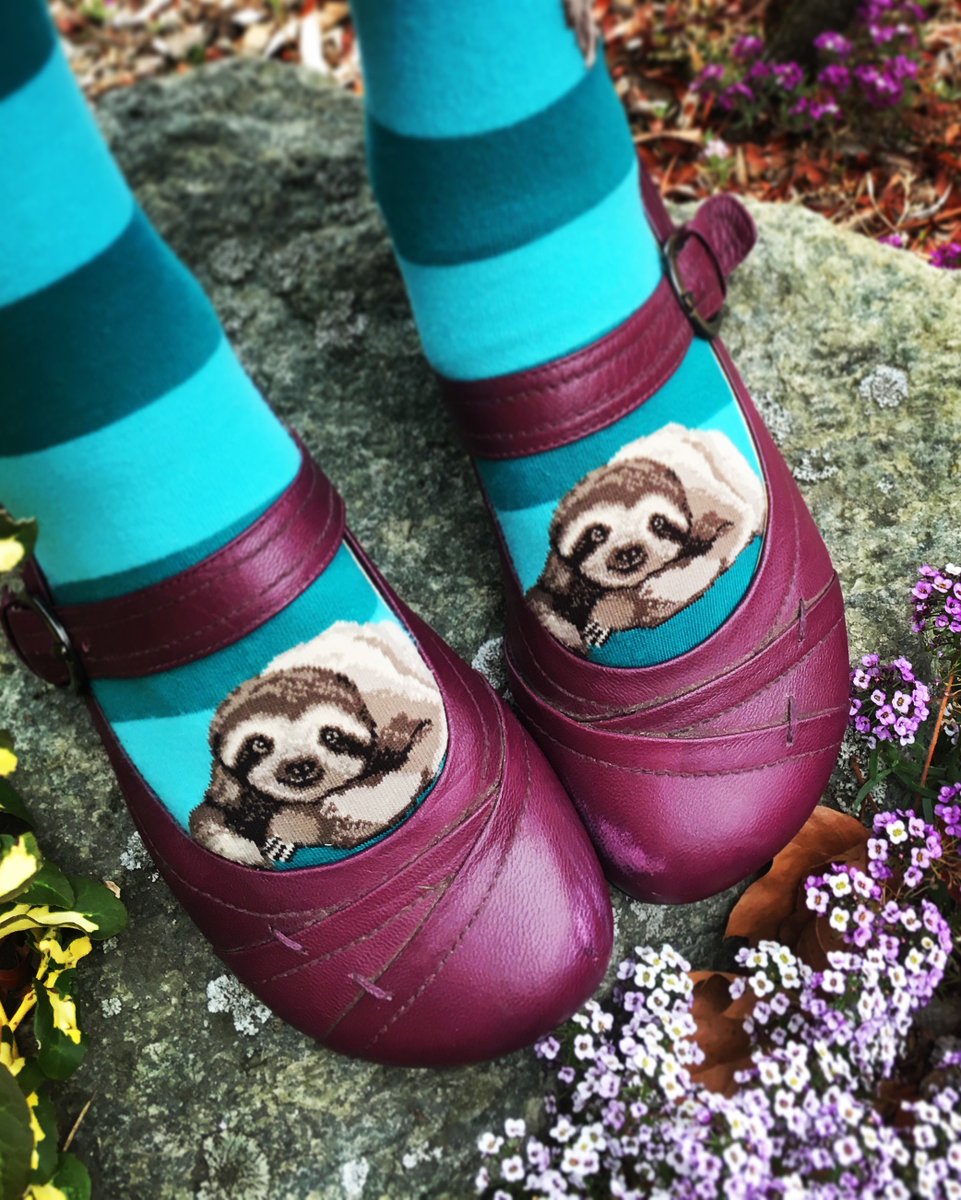 ModSocks's tweet image. Sloth sock selfie for #InternationalSlothDay. #SlothDay #socks #slothlove