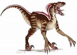 Devils_Hunter_'s tweet image. -After seeing his "mate" betray him he took off his costume and ran away- #OpenRp