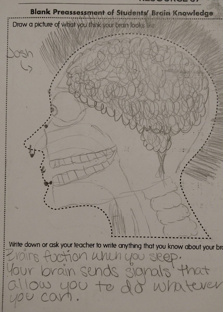 DrMReilly1's tweet photo. Ss @IMSEagles work on growth mindset by learning about brain function #growthmindset @VBGifted https://t.co/5BZAANJxqG