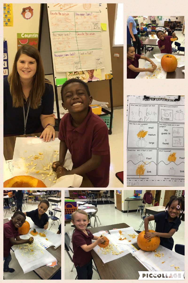 clbaird1's tweet photo. @TURIETSMALL Kindergarten Pumpkin exploration success and smiles! #TTIgnite https://t.co/OL6iuSFcPH