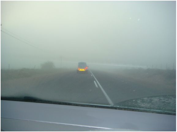 Safe driving in the fog and mist. bit.ly/2dTDeHo #ArriveAlive #safedriving #hazardousweather #fog