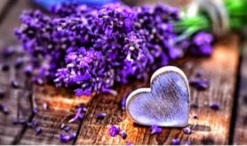 Alzheimers Front Row tweet media