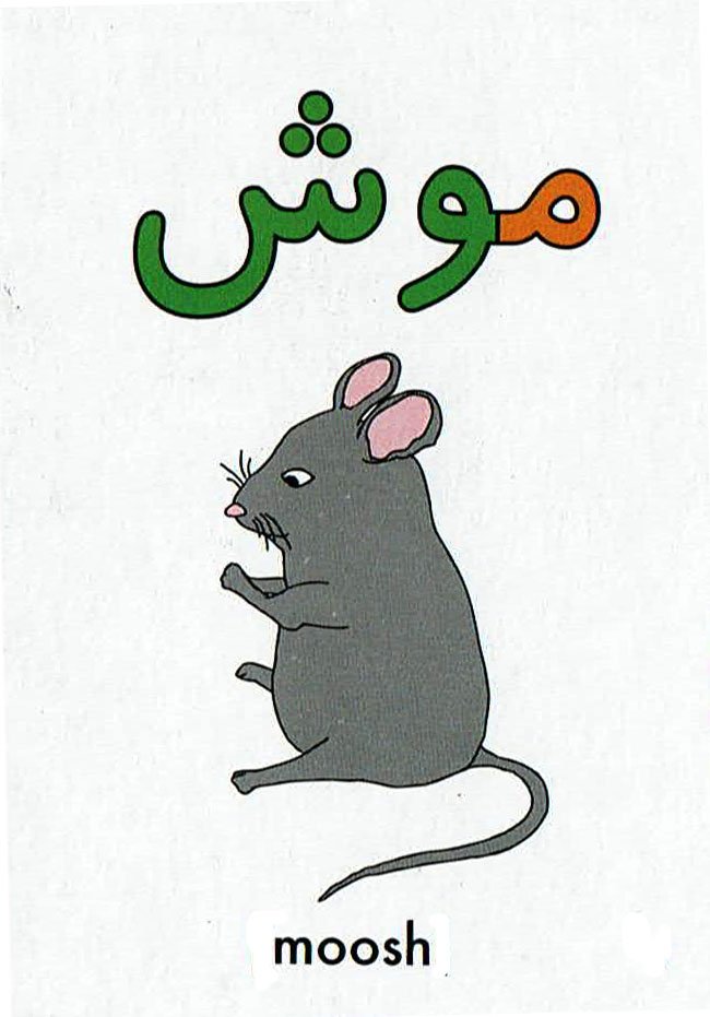 Persian word of the day: moosh
