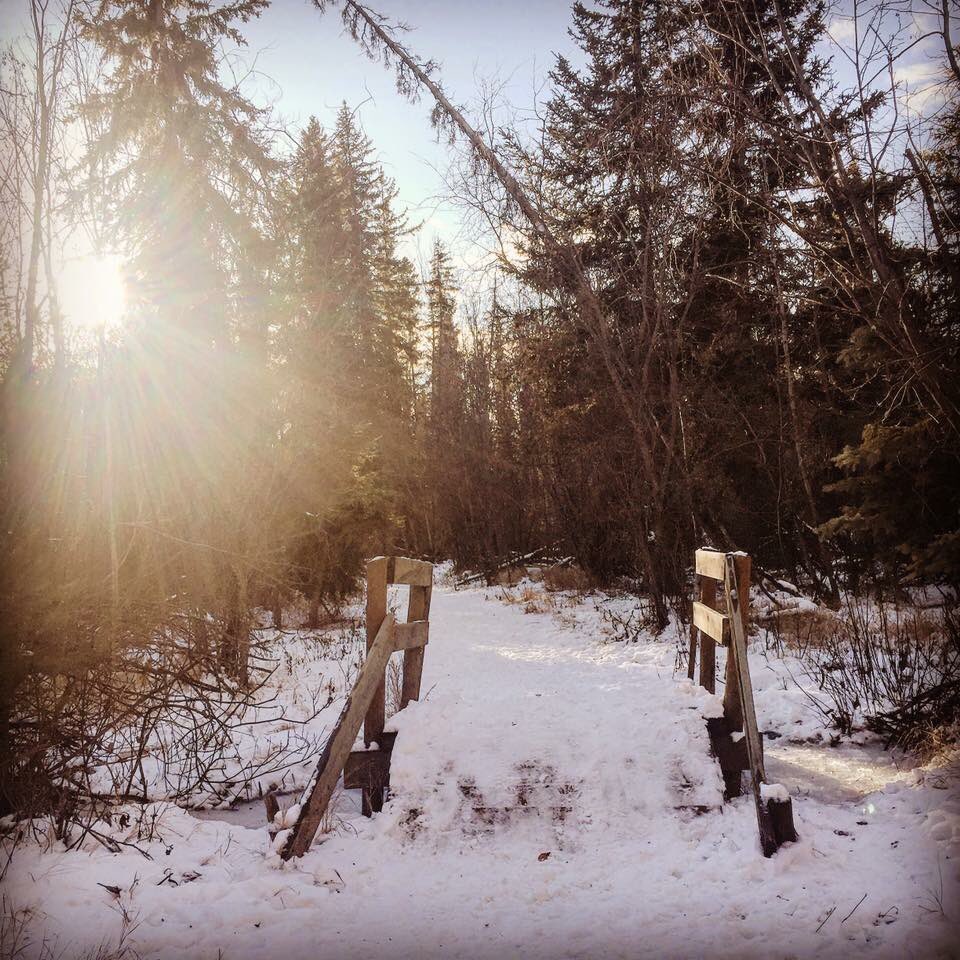 Take it all in. #mightypeace