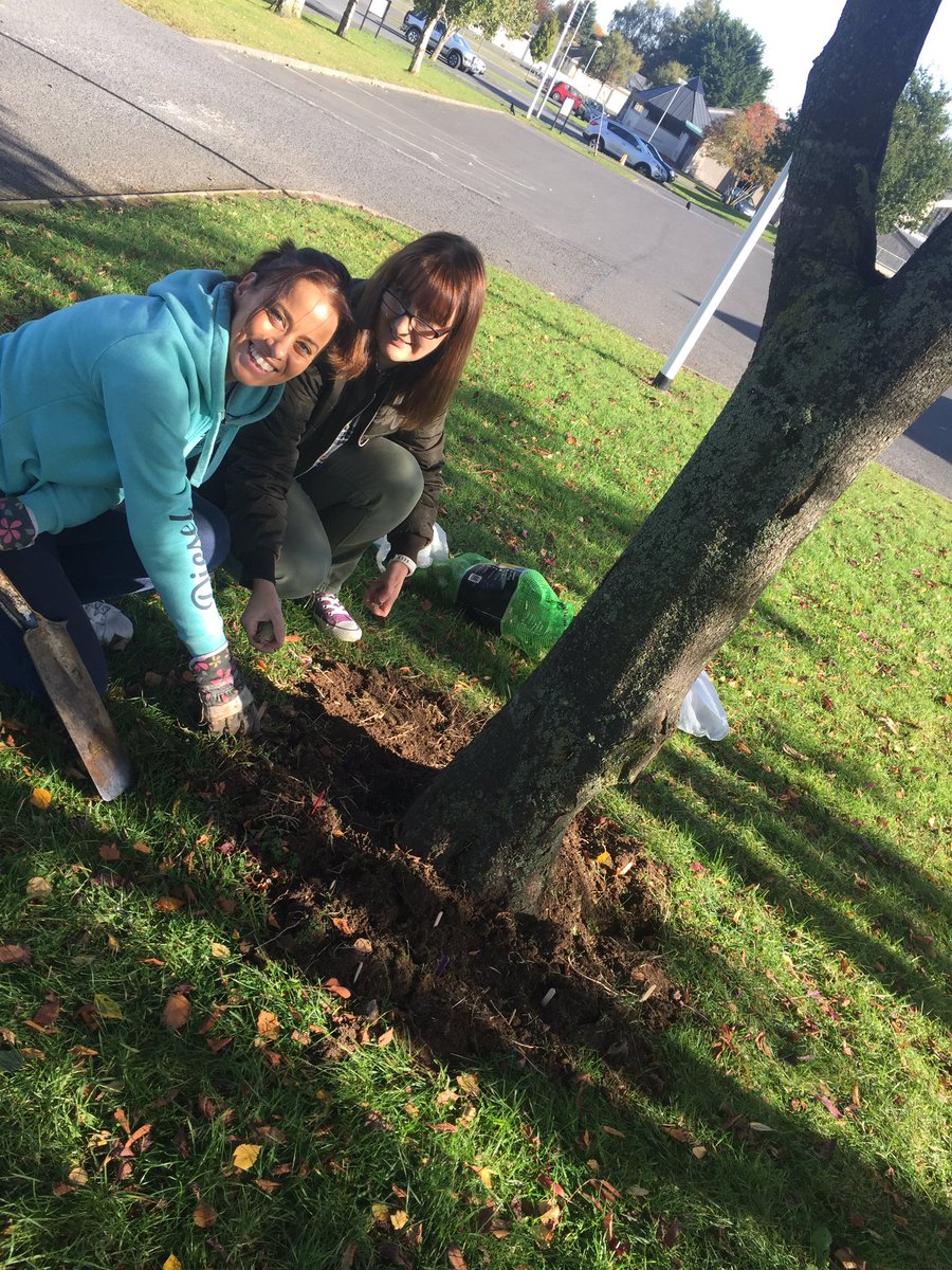 hsclscoilmhuire's tweet photo. @scoilmhuirescmj @fionulaf74 @_SighsALot 'when all at once I saw a crowd, a host of golden daffodils' Thank you girls for planting daffodils https://t.co/fxpq7kEgh2
