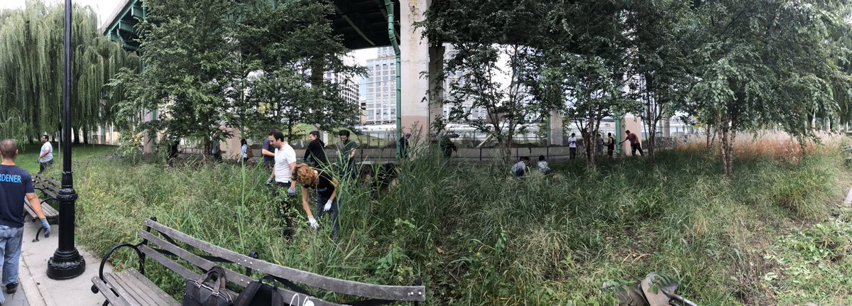 katietheweiss's tweet photo. What are you doing today? I am here w/ @earnestresearch @ffvc @gooten + others picking weeds. #nycTechGivesBack https://t.co/pGPajp0Ma0