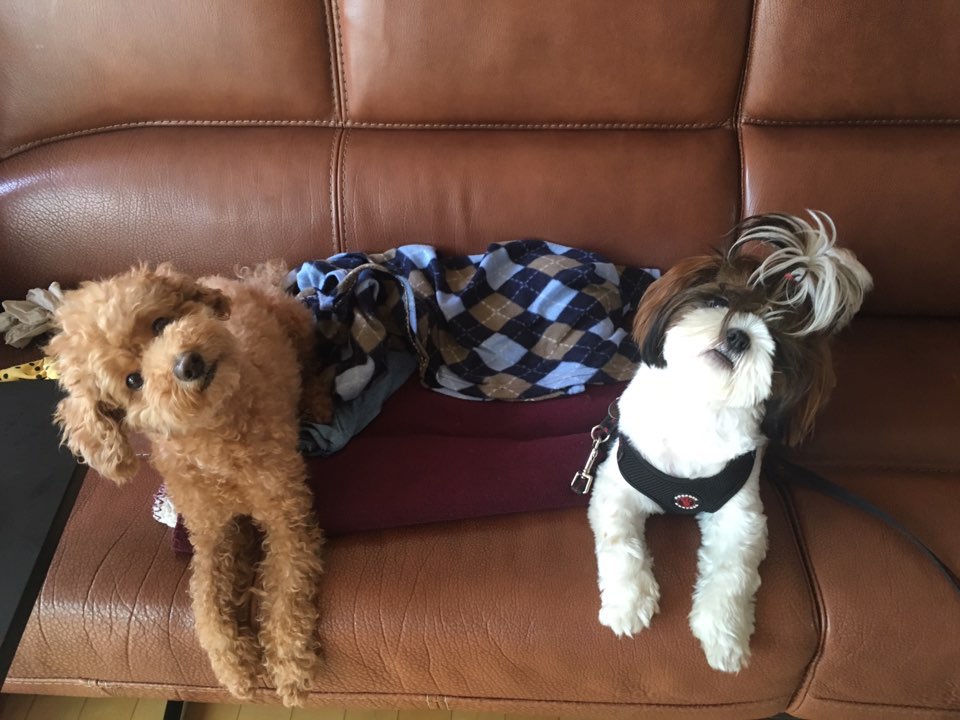 adelinefree80's tweet image. 