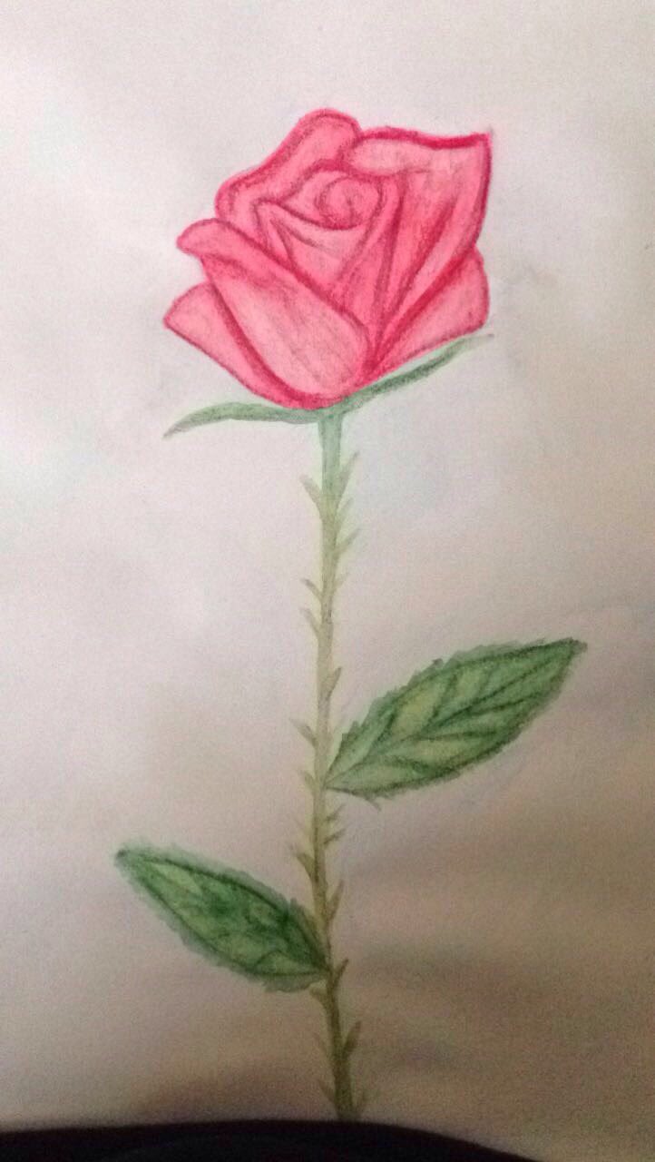 CvOLODfXYAA2w2g.jpg:large