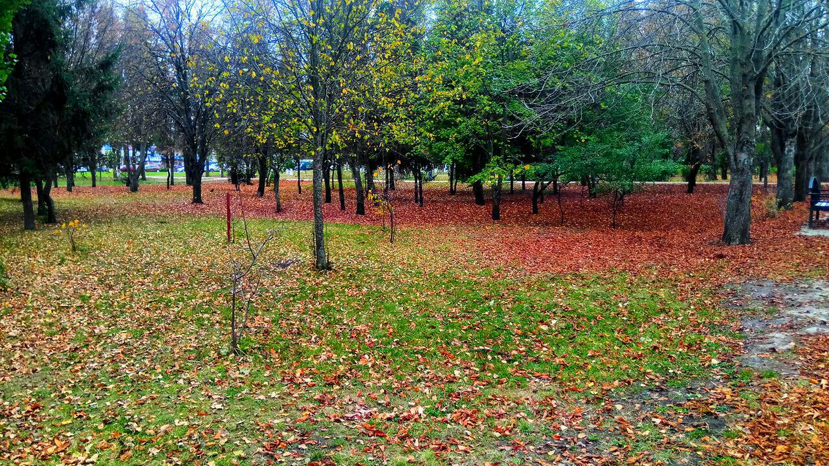 #Белгород­ская осень сквозь камеру моего телефона: