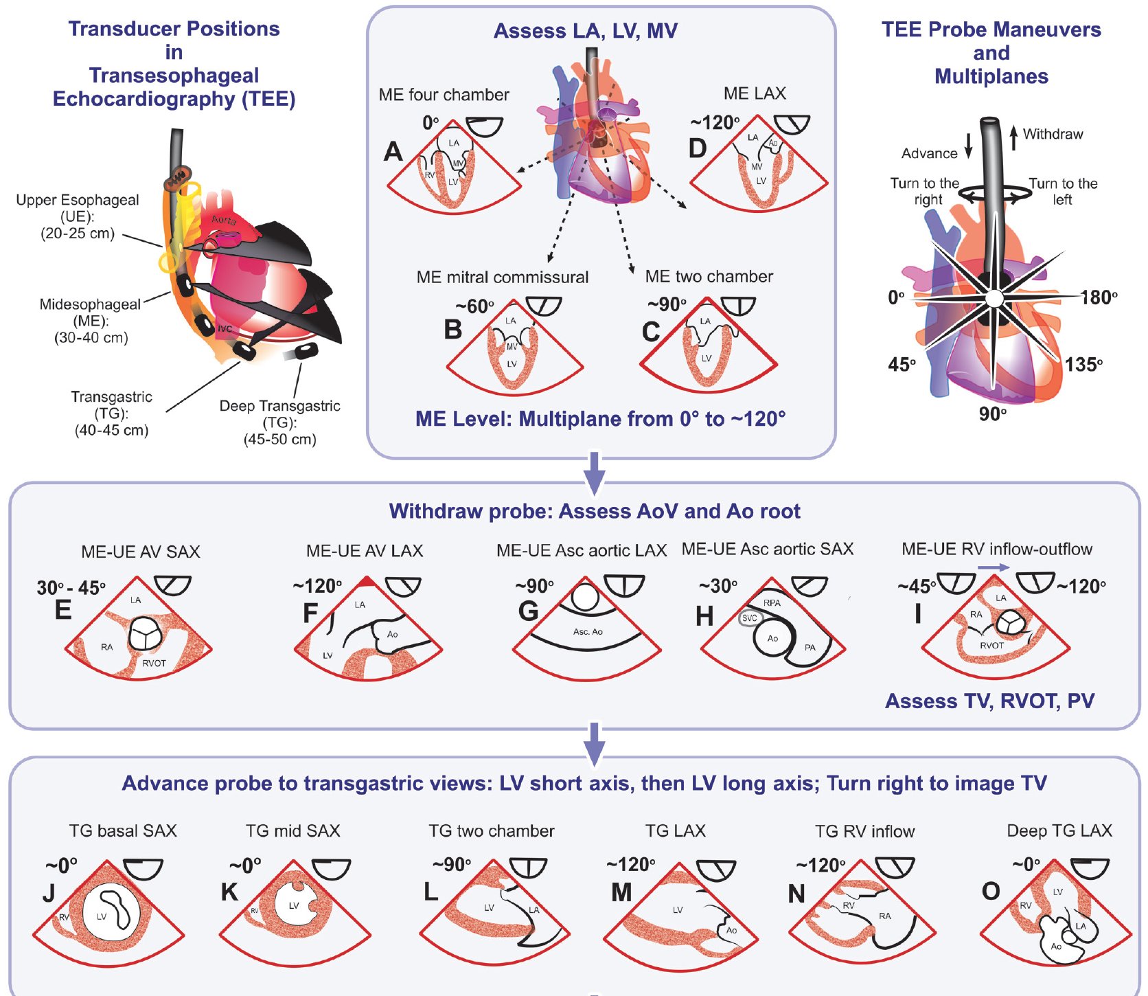 Edgardo Alania on Twitter: 
