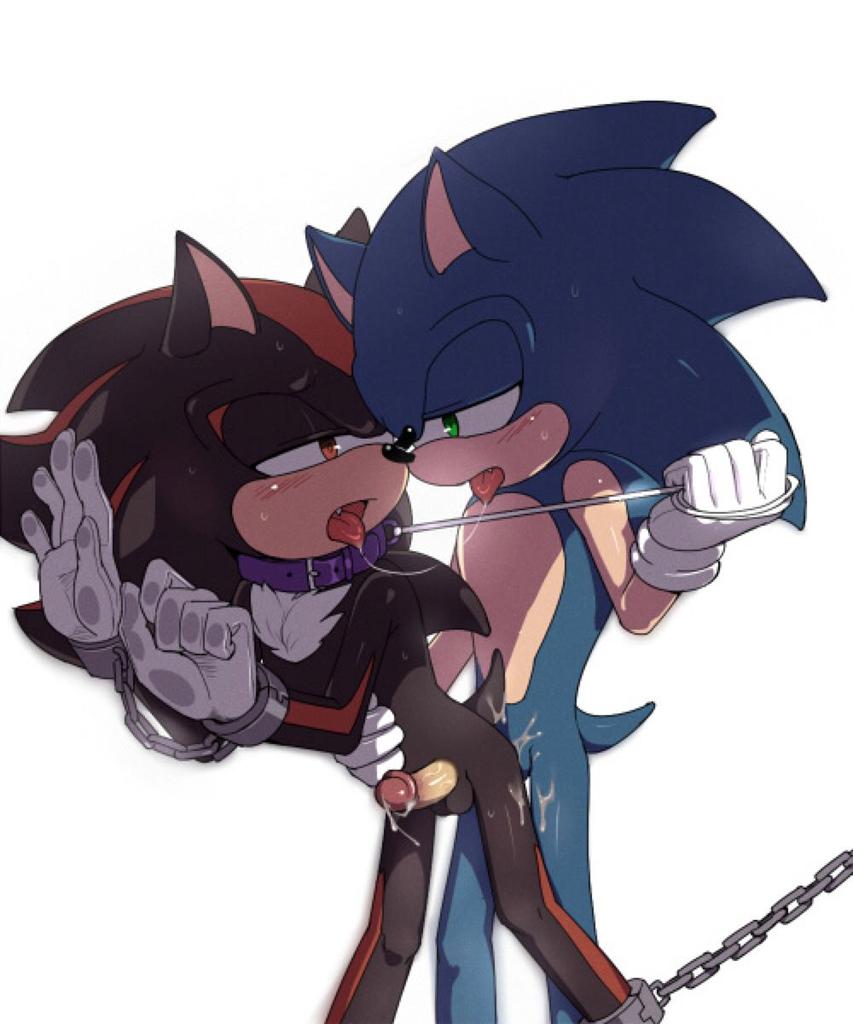 Sonic and Shadow porn #sonicporn.