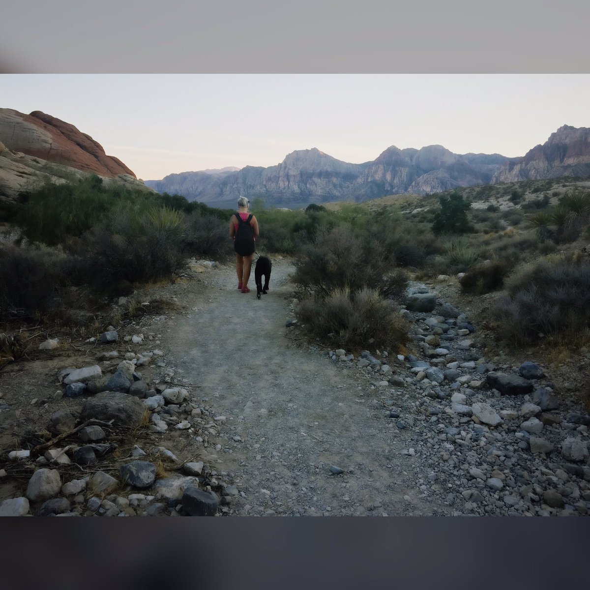Brenna_Renee's tweet photo. Not all of vegas is city ❤️ #LasVegas https://t.co/LkczqC8F7K