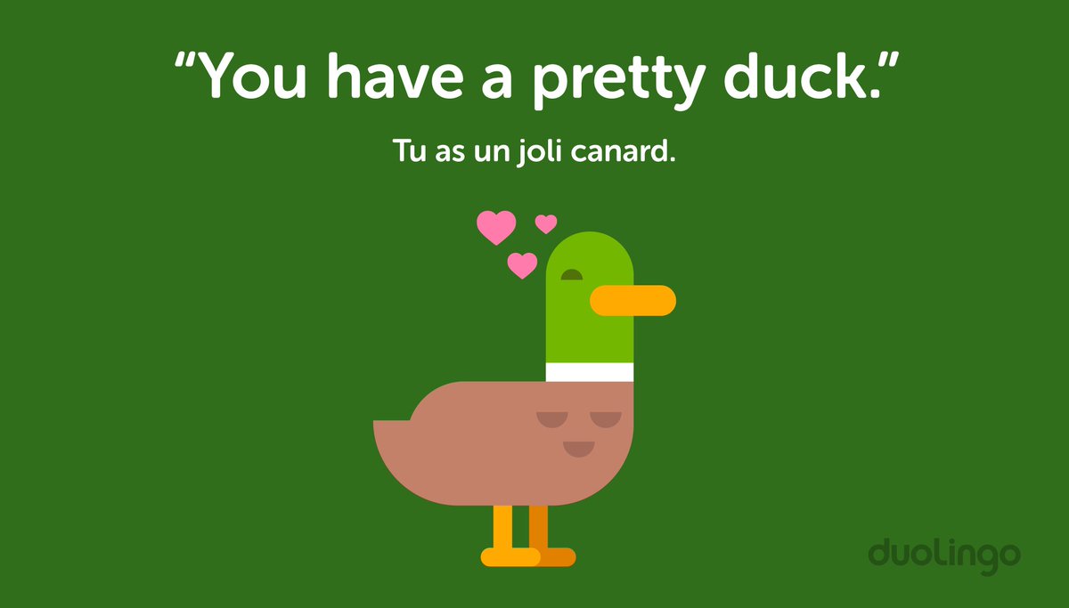 twitter duolingo twitter duolingo