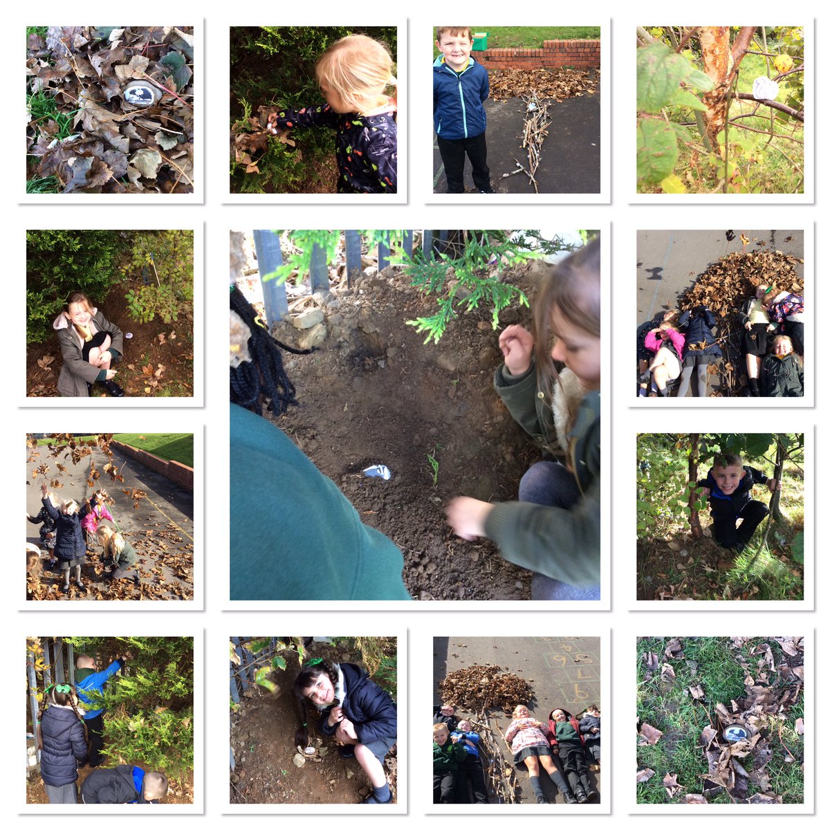 CGPrimary's tweet photo. We have been busy exploring animal habitats in the outdoors and in our choice challenges this week in class4! #CGPEP https://t.co/Cr0gL8k7YU