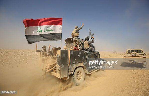 طائر الجنوب tweet media