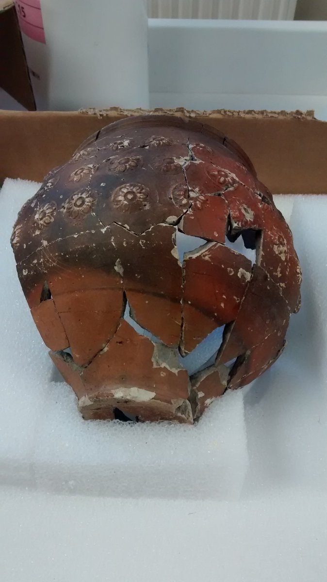 ErmineStreetDig's tweet photo. The daisy pot is back from the conservator. Looks amazing! #ceramics #Roman https://t.co/d6sGa5QXxv
