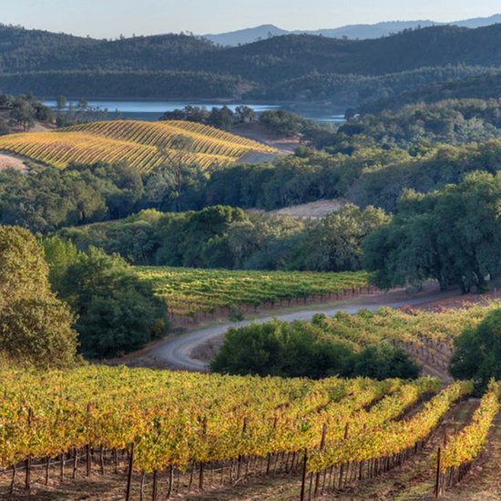 TakeaGetaway's tweet photo. Take a getaway to one of the United States best cultural experiences in Santa Rosa, CA.  The gateway to wine country. https://t.co/JCCPJiZHdZ