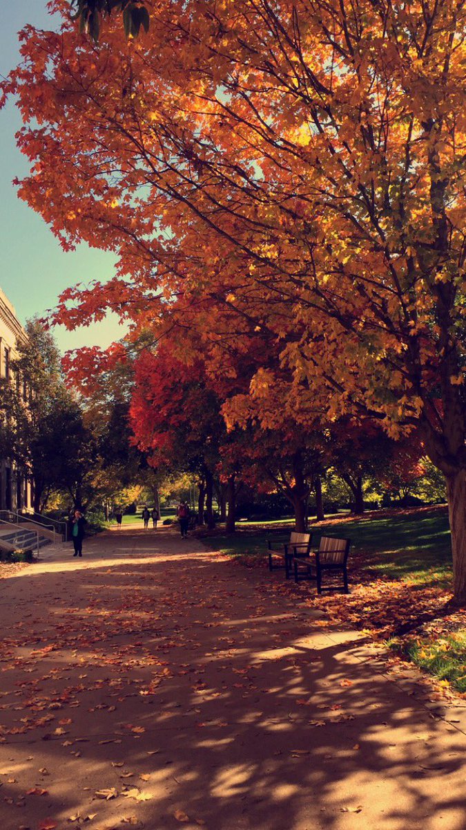 schrocknado's tweet photo. University of Nebraska-Lincoln looking nothing short of perfect right now🍂🍁 #GBR https://t.co/NEiQEIXEec
