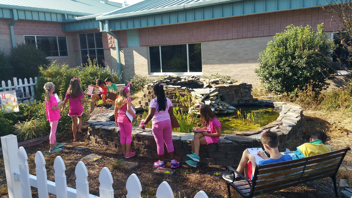 KyleHamstra's tweet photo. Ones to cure cancer in the future may be young learners right now, exploring, completely filled with wonder. #pinkoutday #SwimFwd #sci4L13 https://t.co/RRz7SAC7Tq