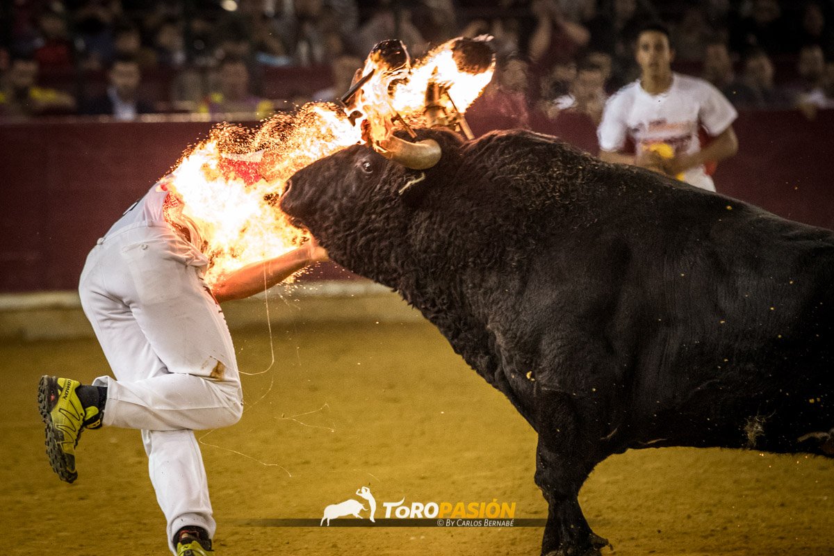 Toropasión tweet media
