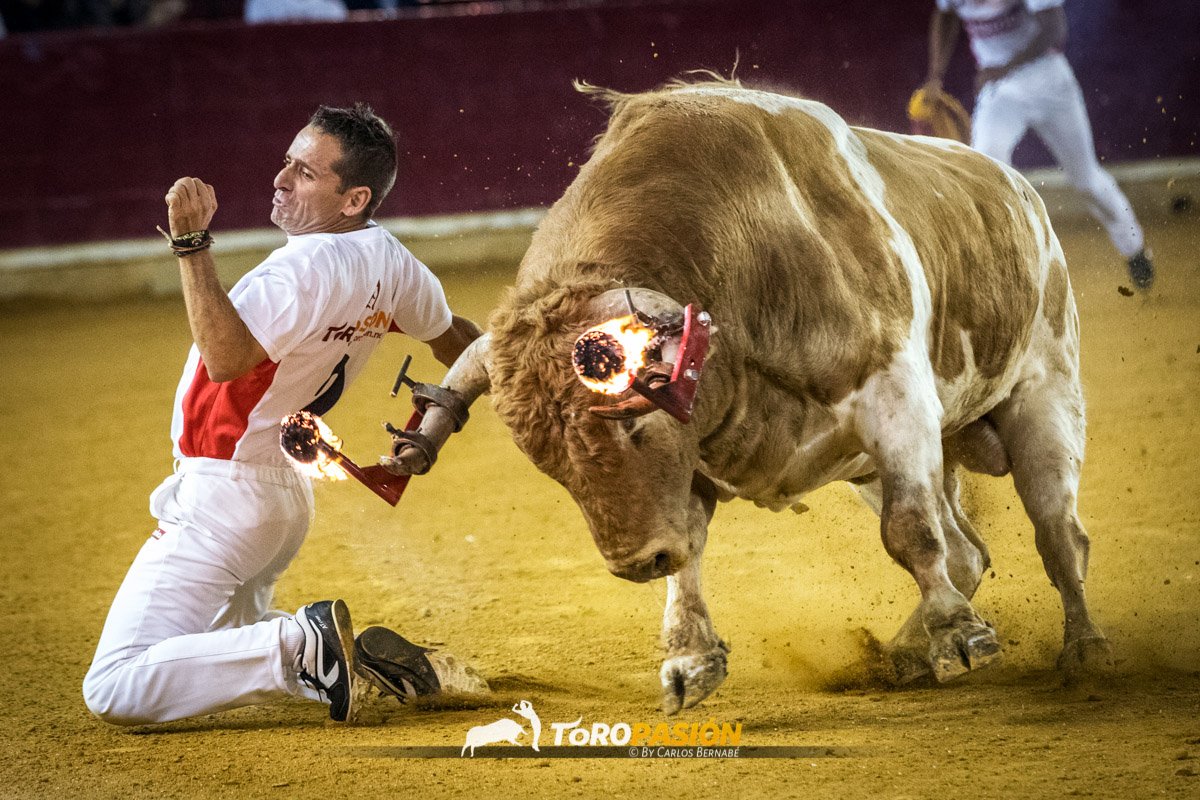 Hombres de fuego. Zaragoza, 15 de octubre. Valor y coraje entre las astas. A sangre y fuego. #unaferiaparaelrecuerdo #tiempodehéroes