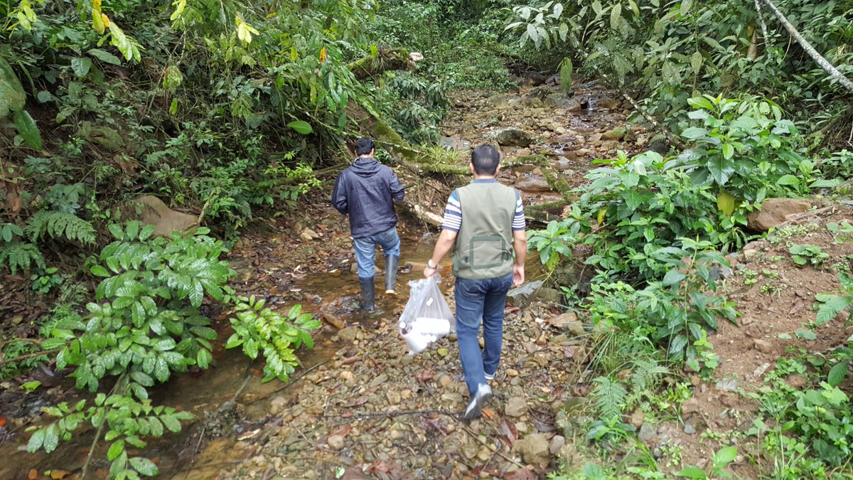 EMAPASREP's tweet photo. Muestras en cuenca alta Río S.R,Planta AA.PP,Captación,El Paraíso:pará análisis físico químico y metales pesados. https://t.co/6cw5sspec6