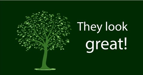 rfldn's tweet photo. Trees are BEAUTIFUL! Thank you to all our partners and supporters who continue to plant trees here in the Forest City. #toasttotrees #ldnont https://t.co/Dx1WB5CiJY