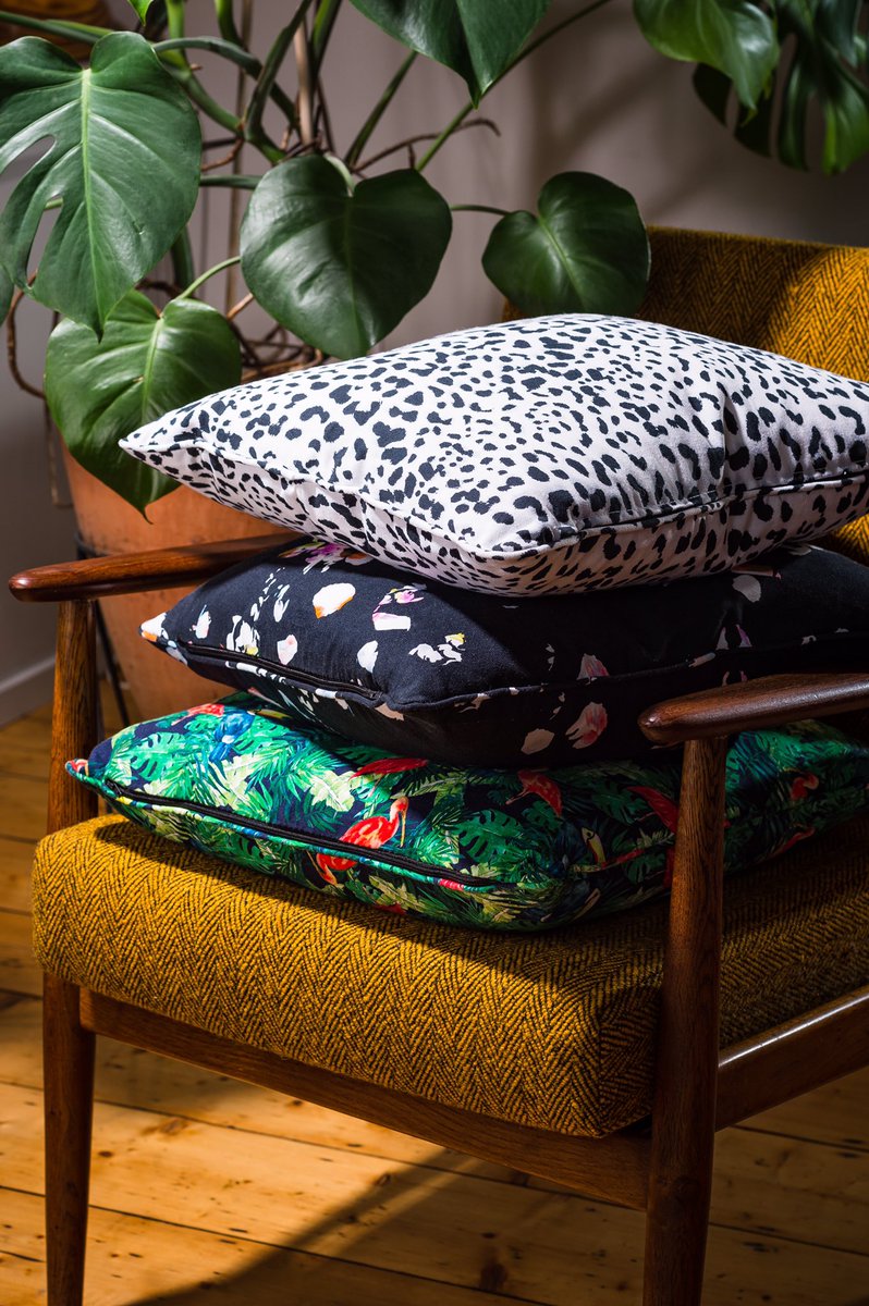 Charlotte Frances tweet media